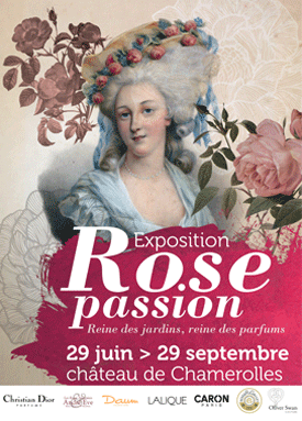 expo_rose